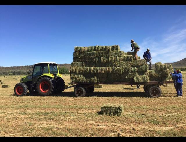 471HA FARM FOR SALE IN MIDDELBURG RURAL